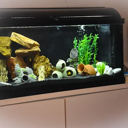 Suprem Sul Mare Hotel Rimini