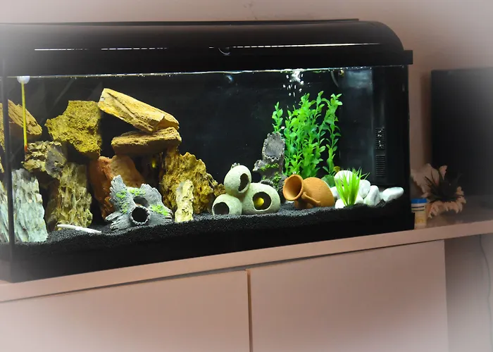 Suprem Sul Mare Отель Римини