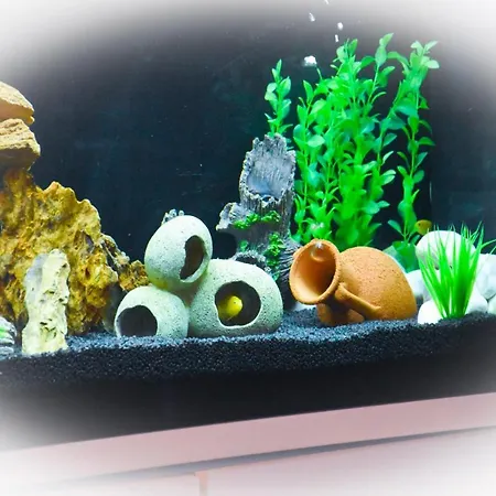 Suprem Sul Mare Ρίμινι