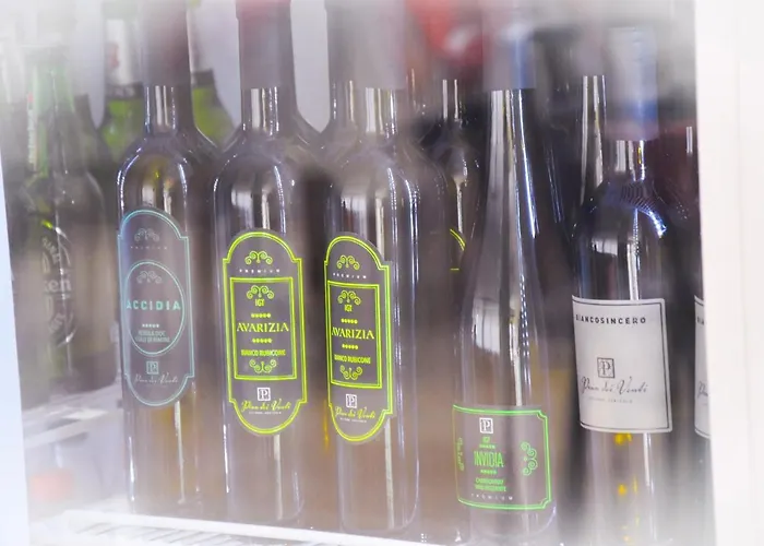 Suprem Sul Mare 3* 리미니